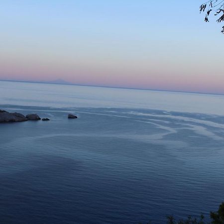 Panorama Studios Skopelos Town Exterior photo